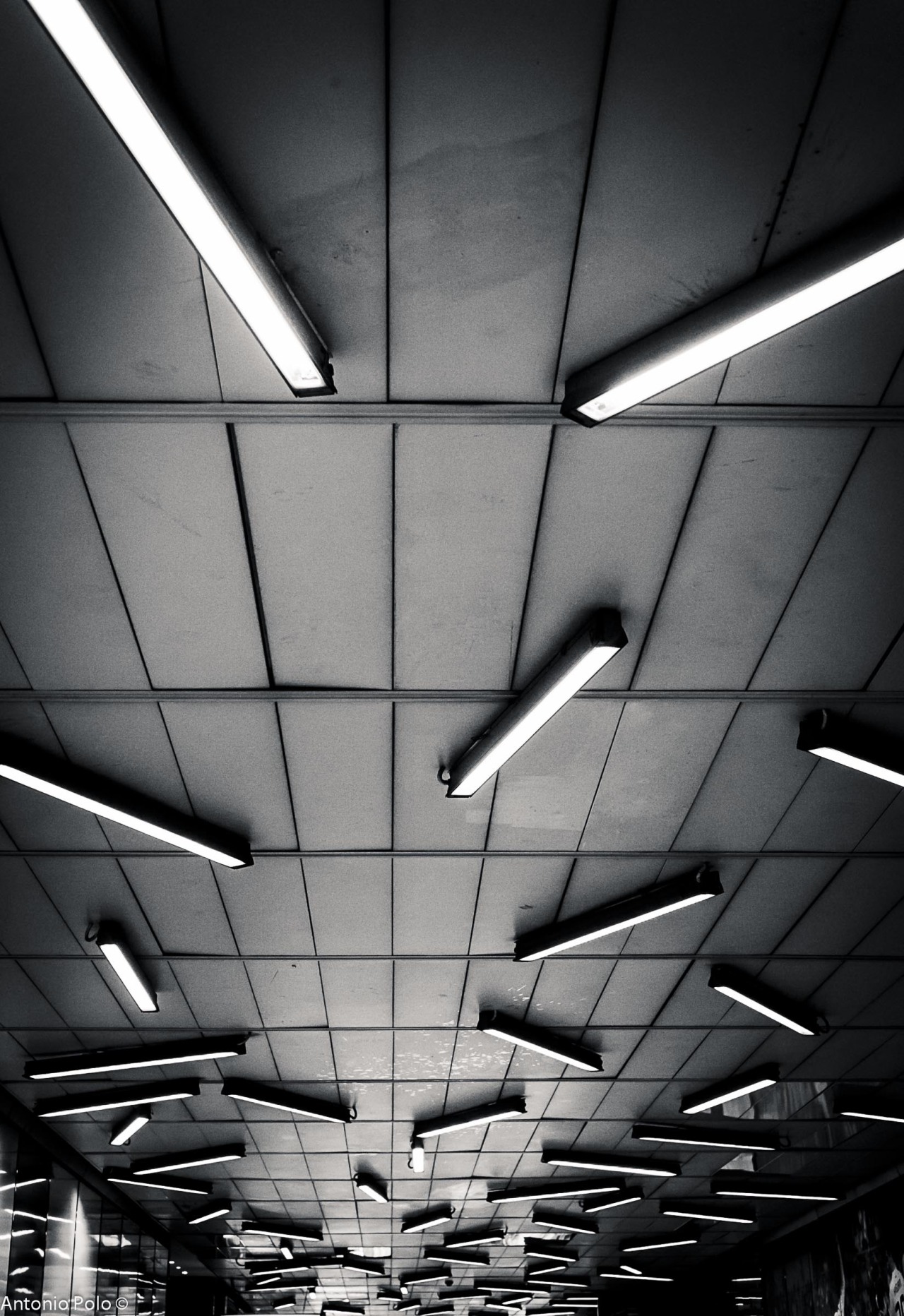 Archillect Archive ID 1043