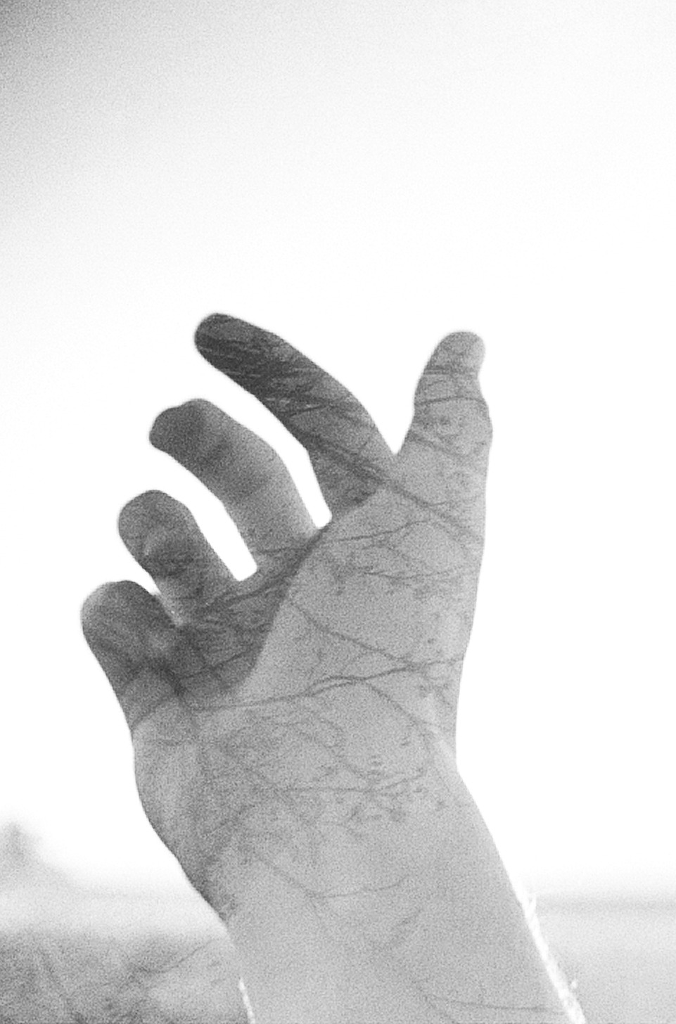 Archillect Archive ID 1231