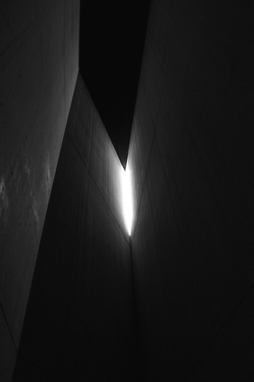 Archillect Archive ID 1312