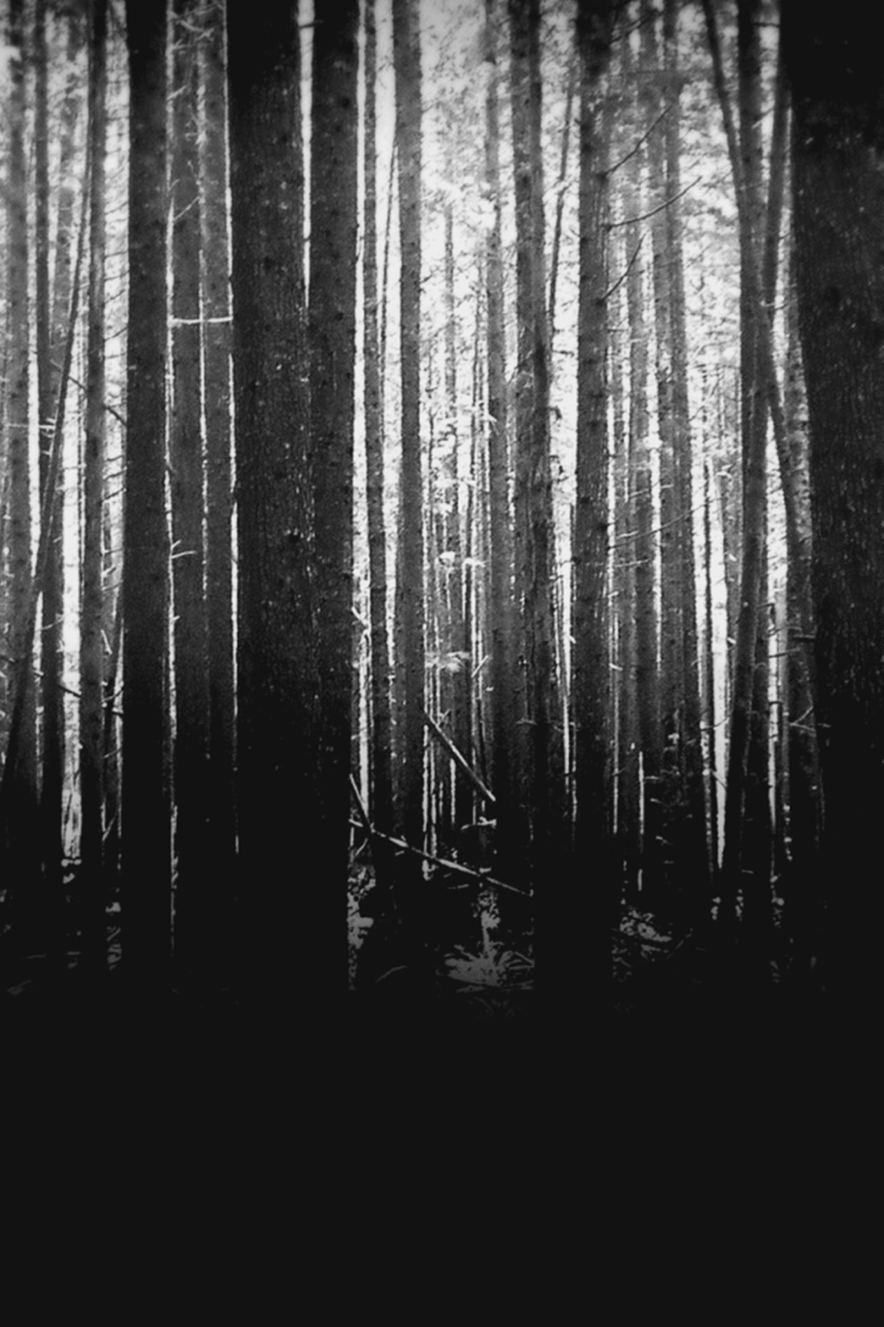 Archillect Archive ID 1356