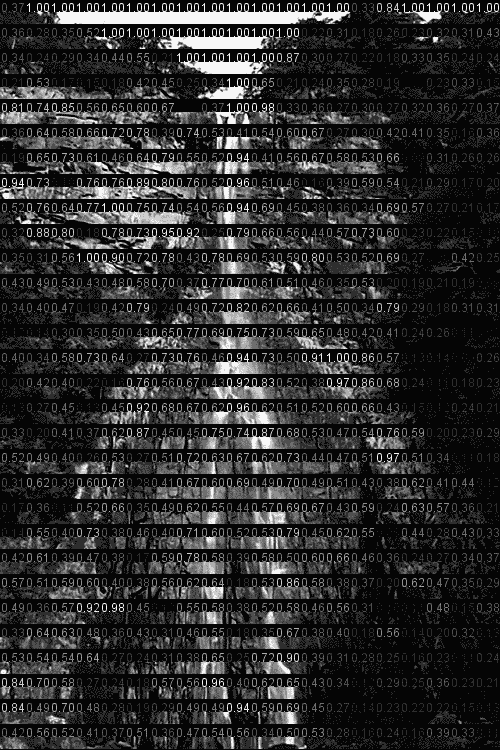 Archillect Archive ID 1361