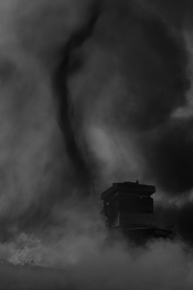 Archillect Archive ID 1391