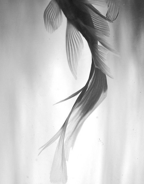 Archillect Archive ID 1615
