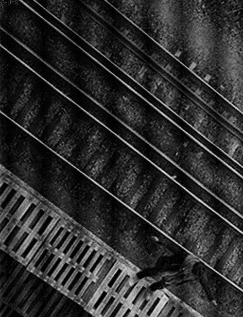 Archillect Archive ID 1626