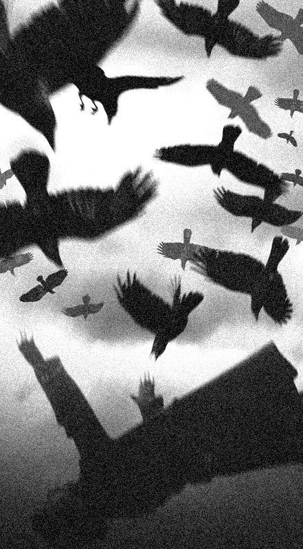 Archillect Archive ID 1984