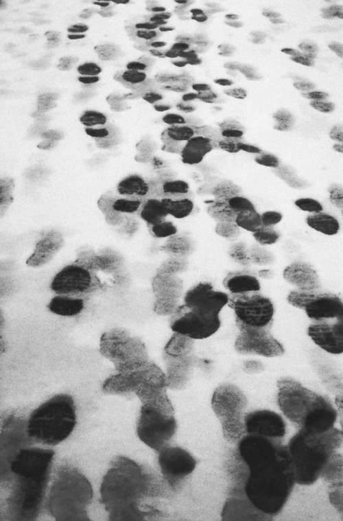 Archillect Archive ID 2058