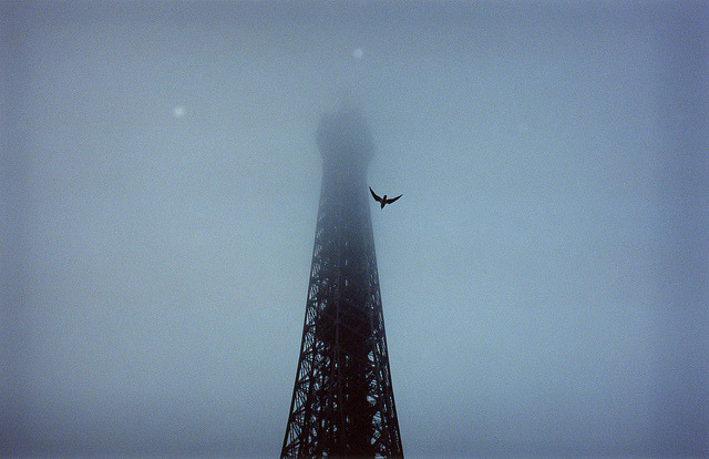 Archillect Archive ID 2266