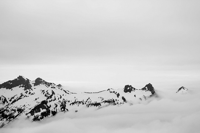 Archillect ID 2316