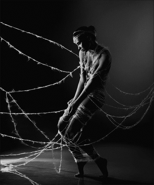 Archillect ID 2337