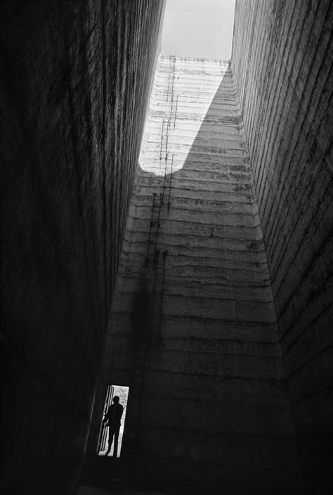 Archillect ID 2358