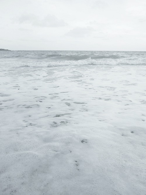 Archillect ID 2388