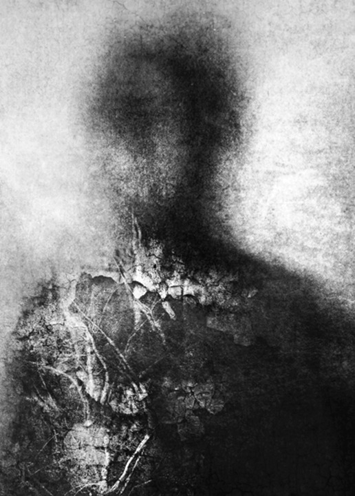 Archillect ID 2441