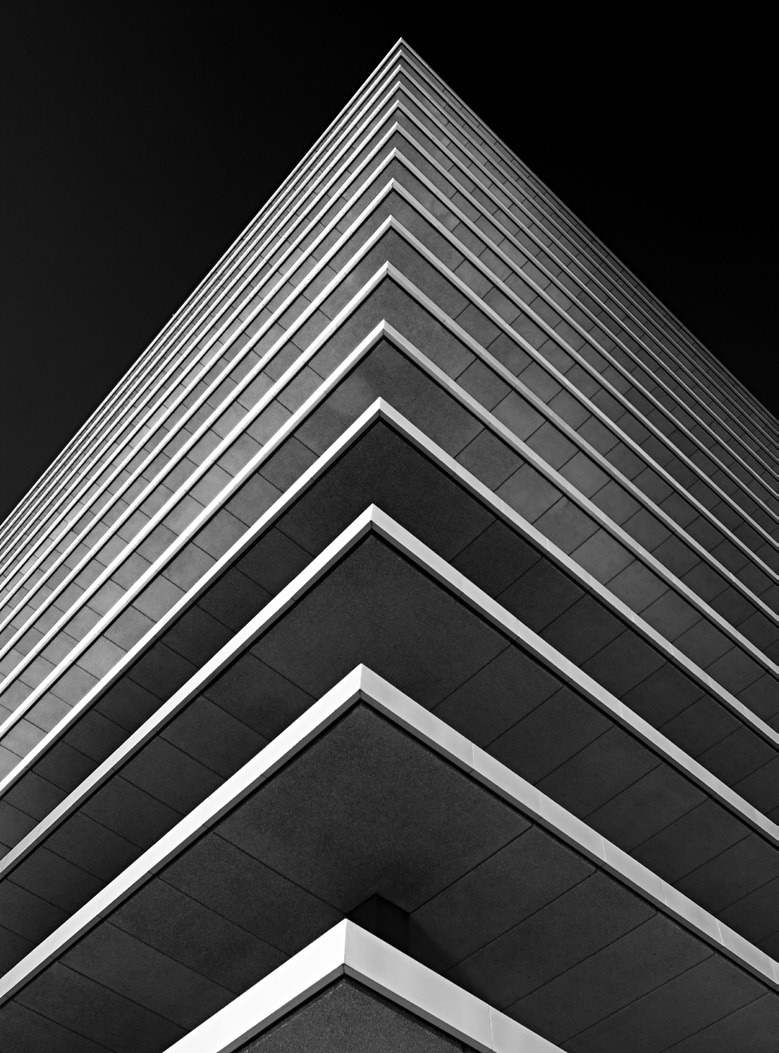 Archillect ID 2509
