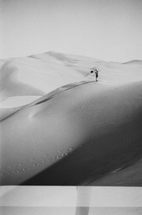 Archillect ID 2528