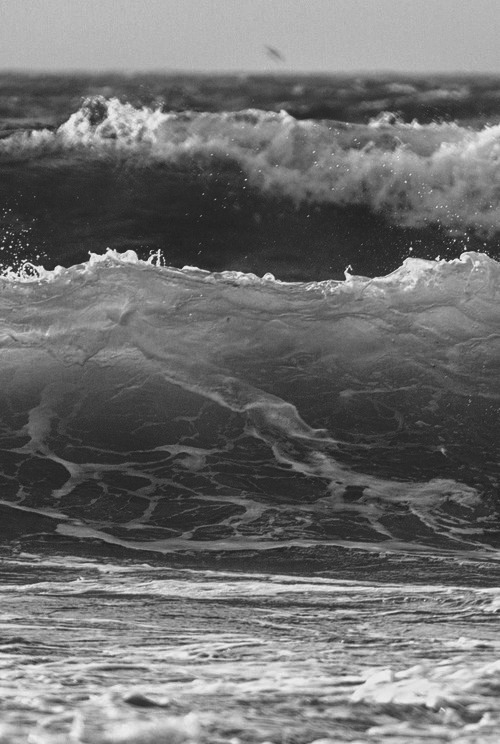 Archillect ID 2529