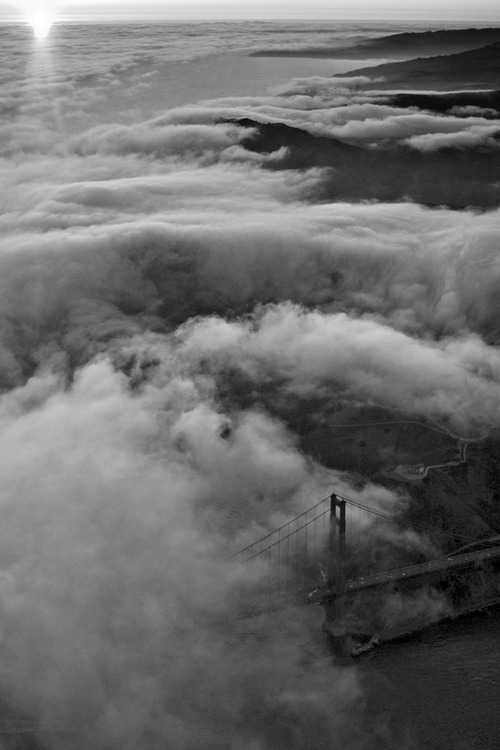 Archillect ID 2596