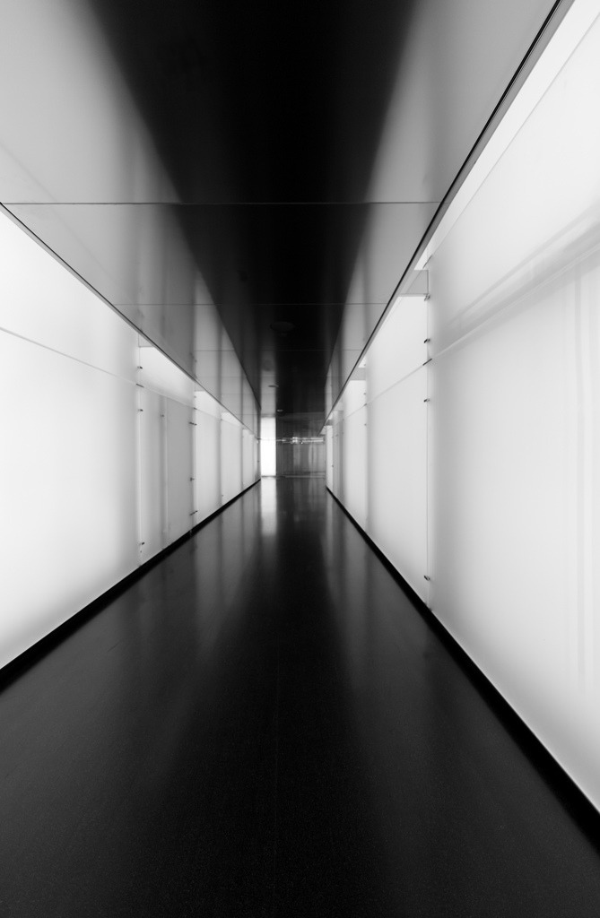 Archillect ID 2613
