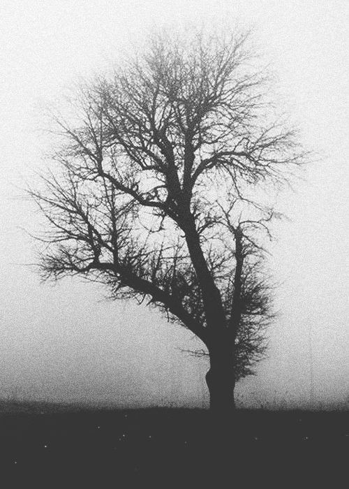 Archillect ID 2833