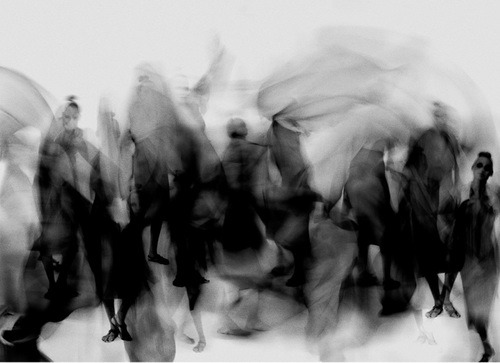 Archillect ID 2839