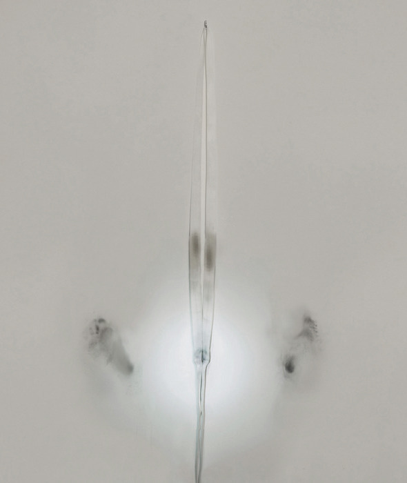 Archillect ID 2895