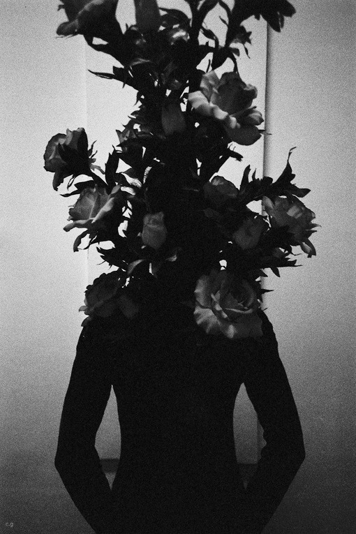 Archillect Archive ID 292