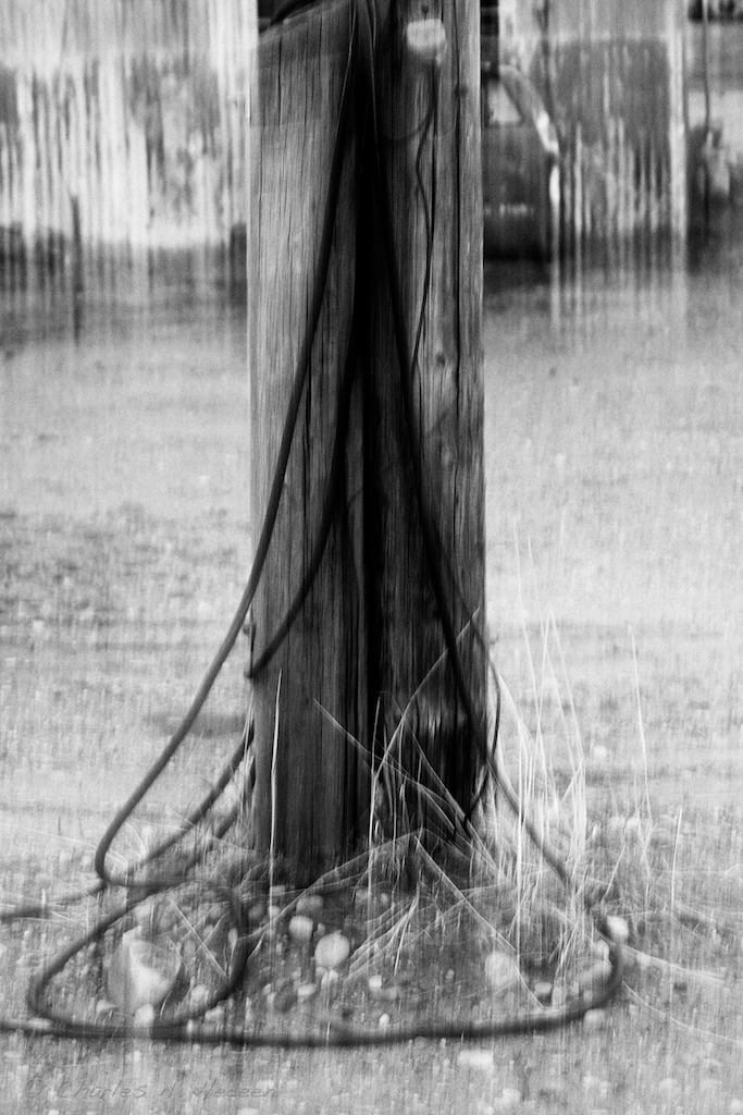 Archillect ID 2930