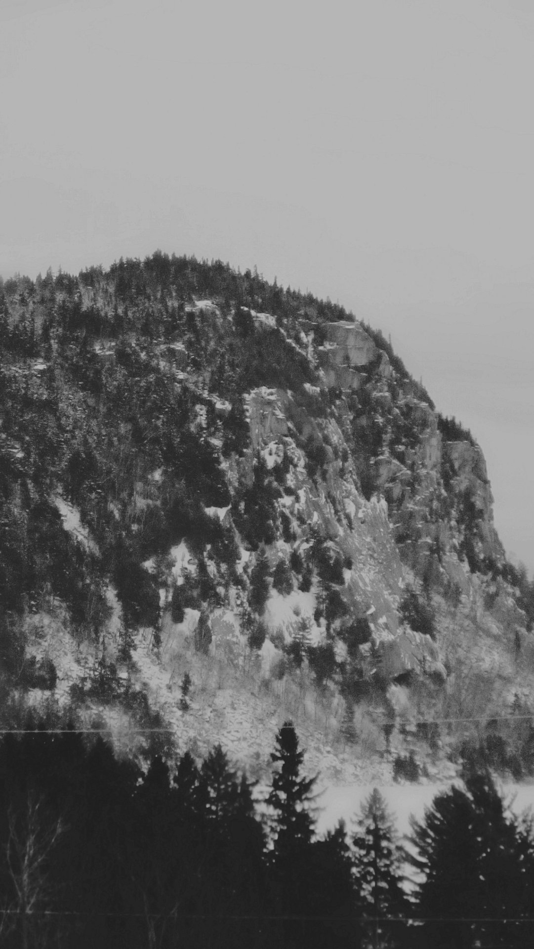 Archillect ID 2961