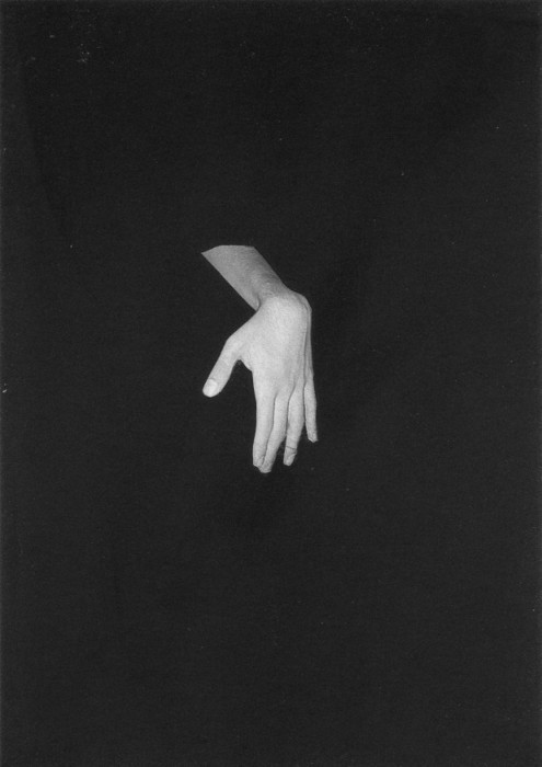 Archillect ID 2962