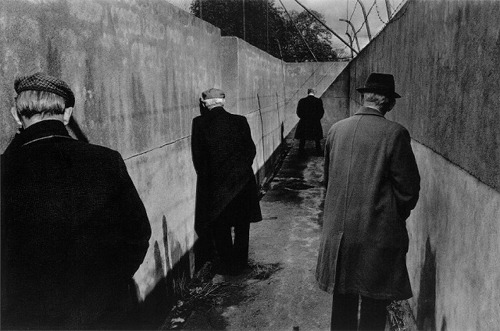 Archillect ID 3037