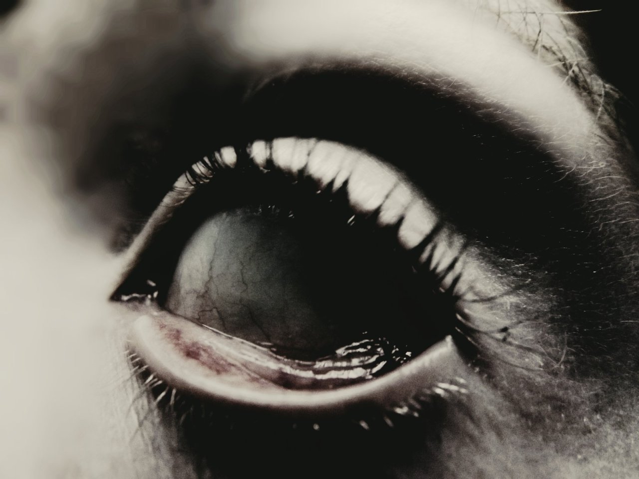 Archillect ID 3049