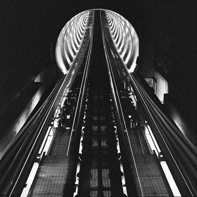 Archillect Archive ID 307
