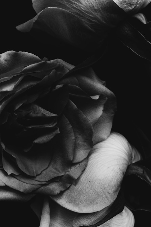 Archillect ID 3152