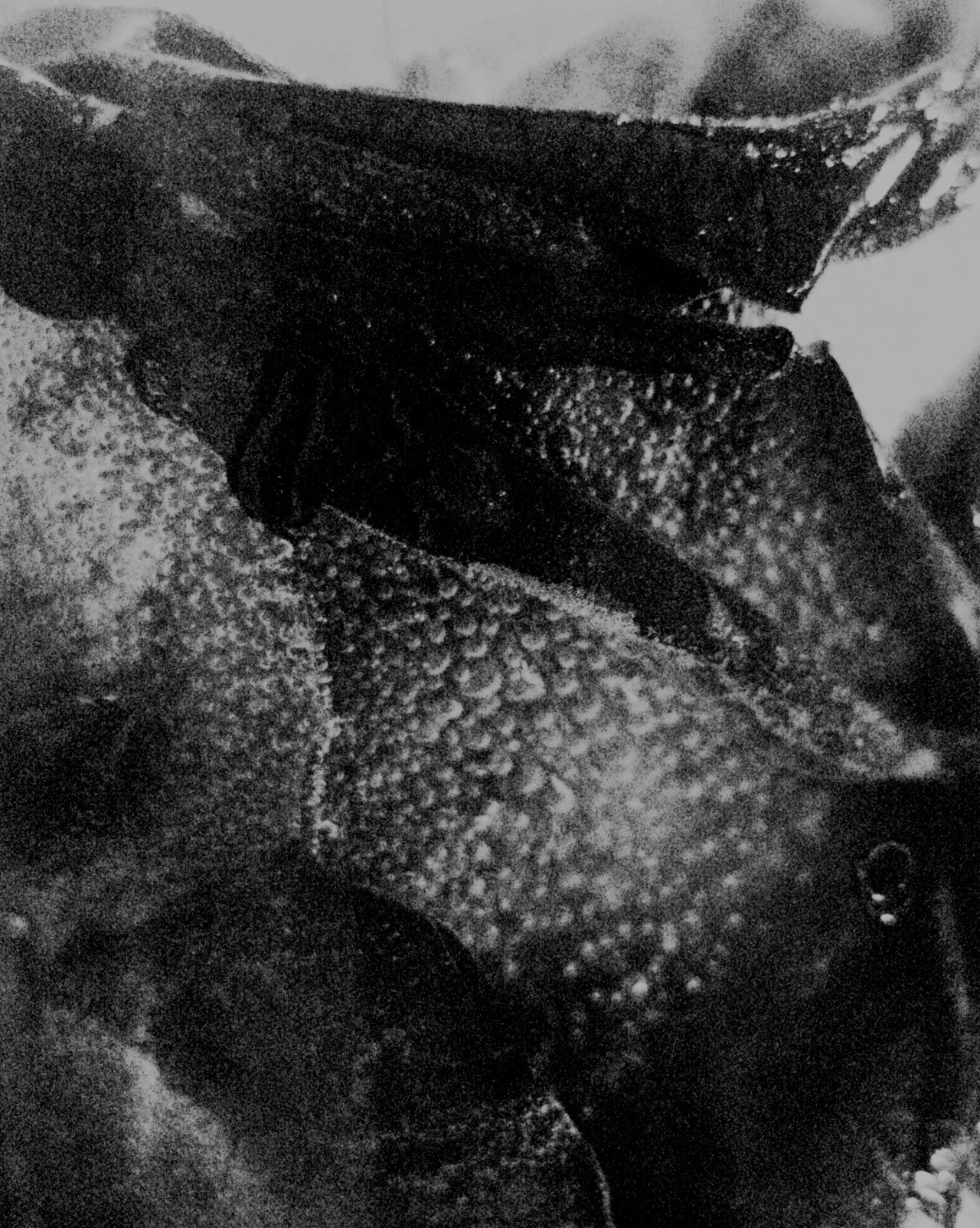 Archillect Archive ID 318