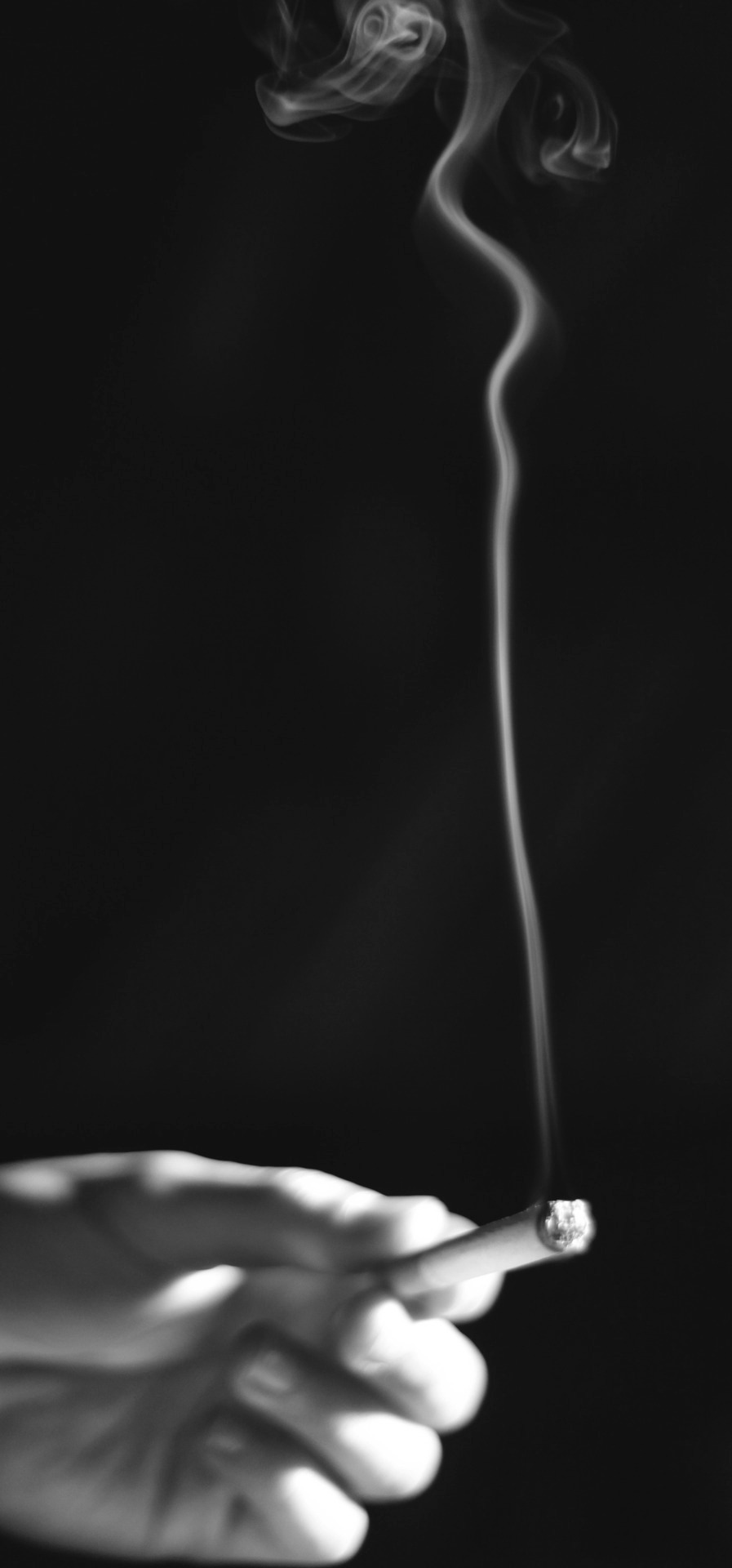 Archillect Archive ID 32