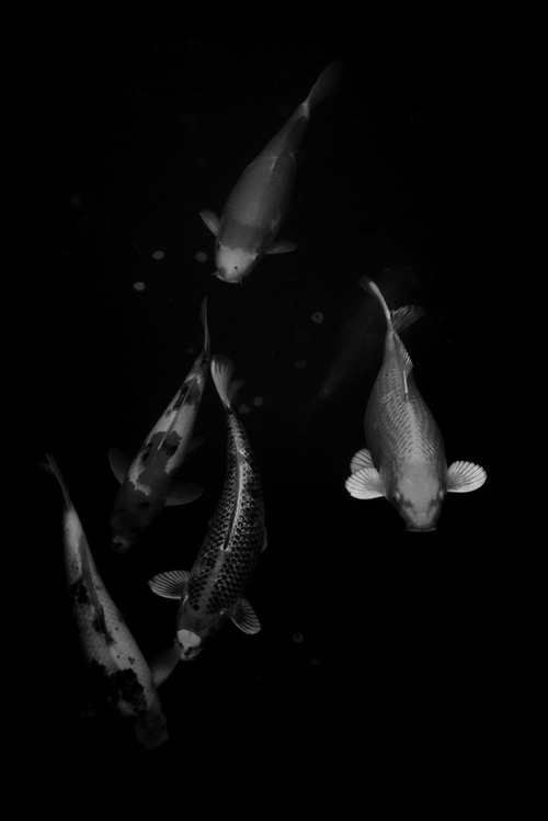 Archillect ID 3200