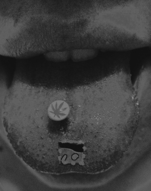 Archillect ID 3208
