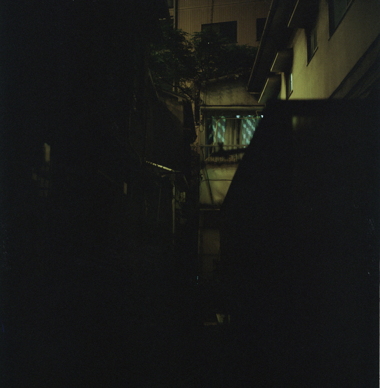 Archillect ID 3319