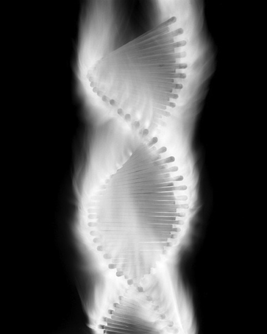 Archillect ID 3363