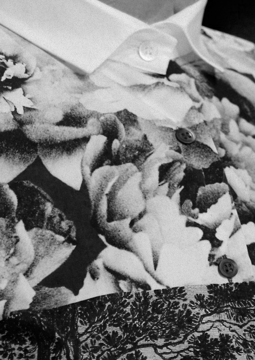 Archillect ID 3490