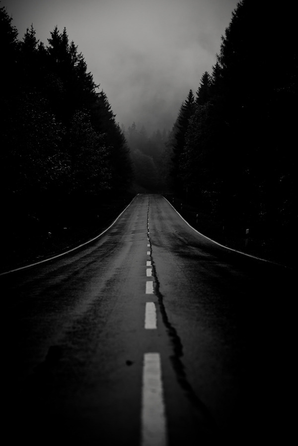 Archillect ID 3544