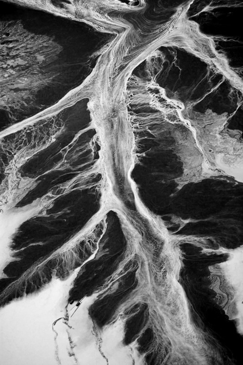 Archillect ID 3584