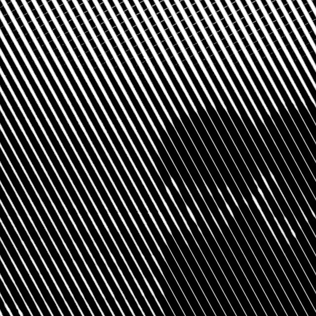 Archillect ID 3647