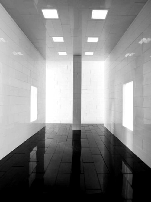 Archillect ID 3648