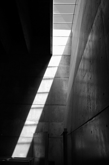 Archillect Archive ID 365