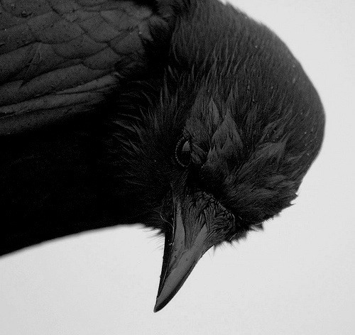Archillect ID 3656