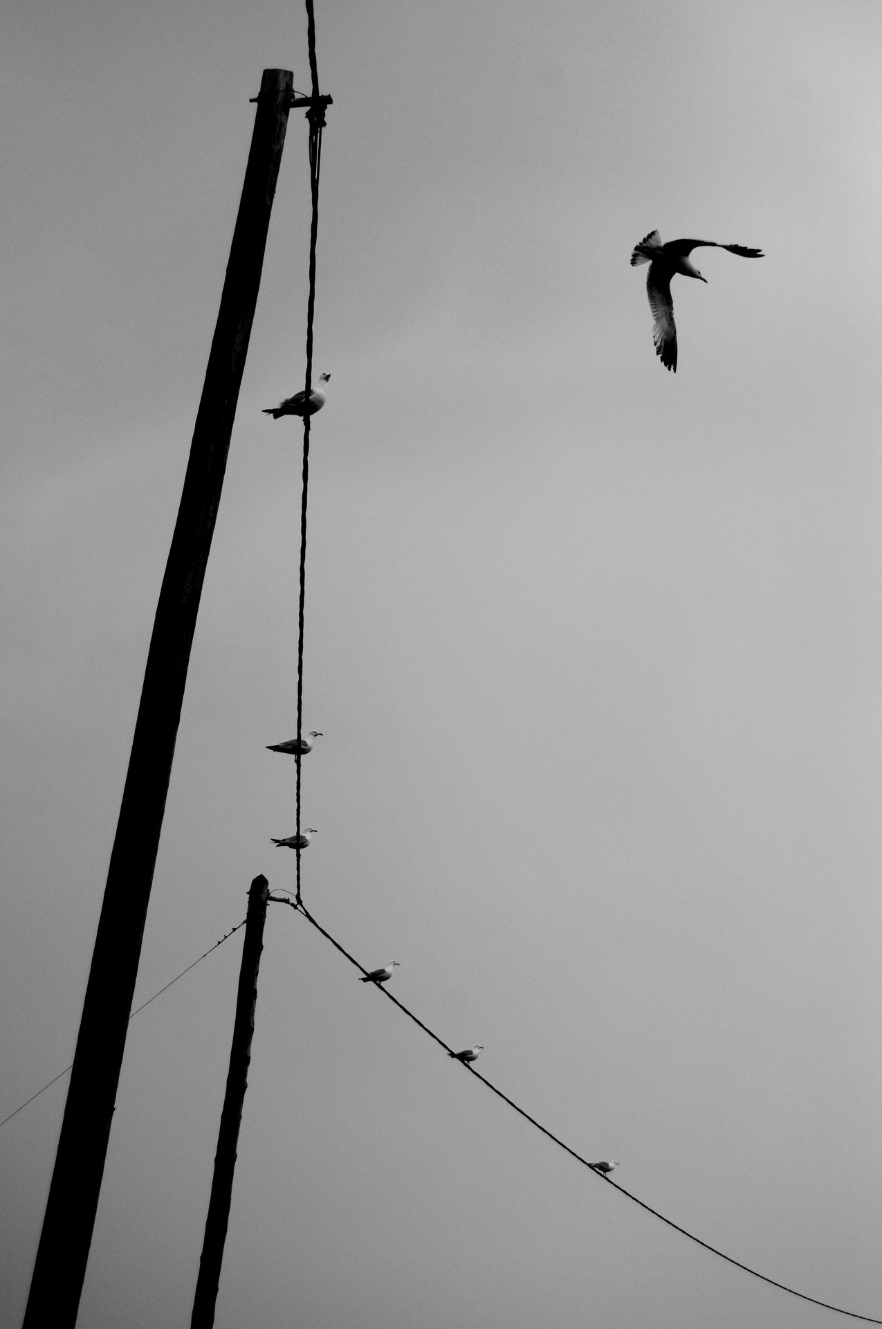 Archillect ID 3706