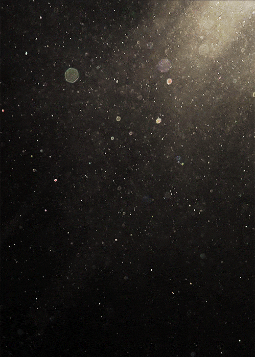 Archillect ID 3722