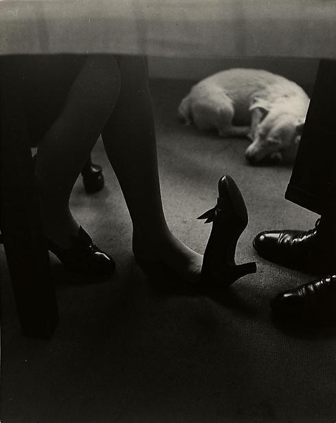 Archillect Archive ID 386