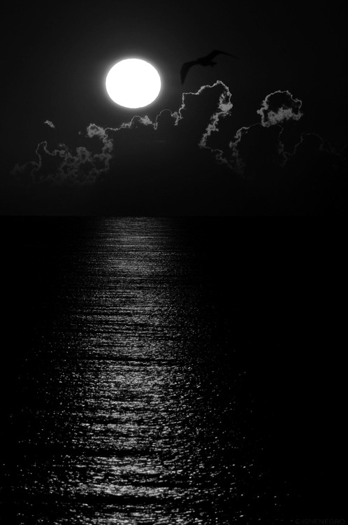 Archillect ID 3873