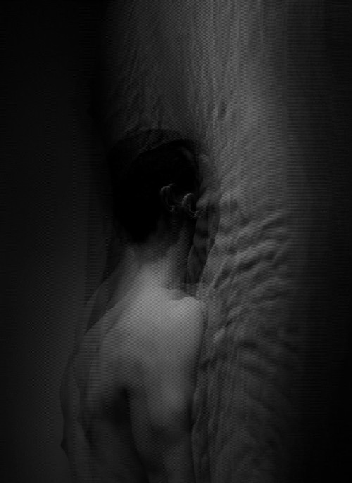 Archillect ID 3876